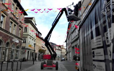 04.11.2020 → Vogelschwarm weicht für Weihnachtsbeleuchtung