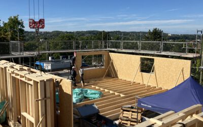 Bauen mit Holz