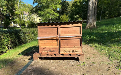 Neu bei uns: summende Nachbarn!